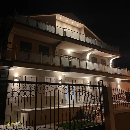 Amla “ “ * Shkodër